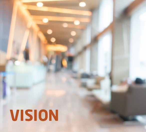 Category_vision 585-532.39
